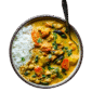 Malabar Curry